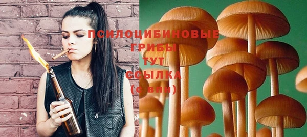 MESCALINE Бородино