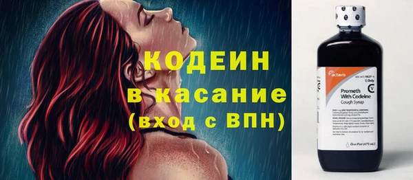 гашик Богданович