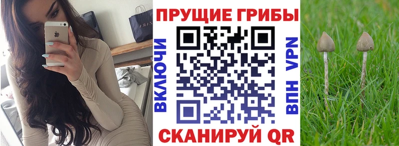Галлюциногенные грибы ЛСД  как найти закладки  Энем 